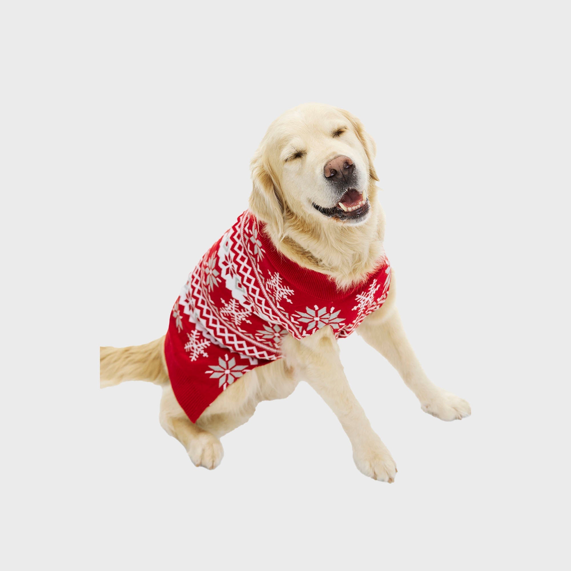Cute Hunde-Weihnachtspullover